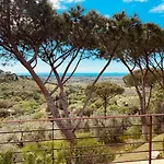 Podere Il Castellaccio